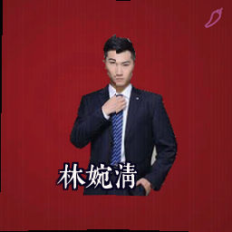 林婉清